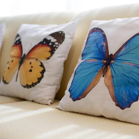 Апартаменты Falco 1 Коральео